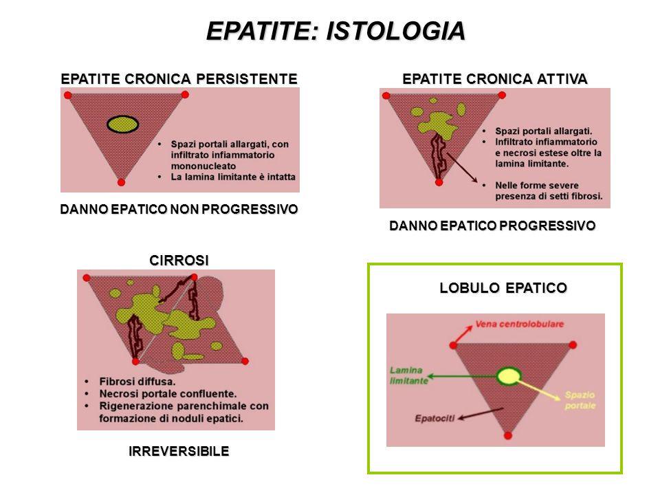 Epatite Cronica e Cirrosi Epatica Il danno è sempre legato ad una infiammazione cronica; quello che cambia è la diffusione, gravità e durata dell infiammazione.