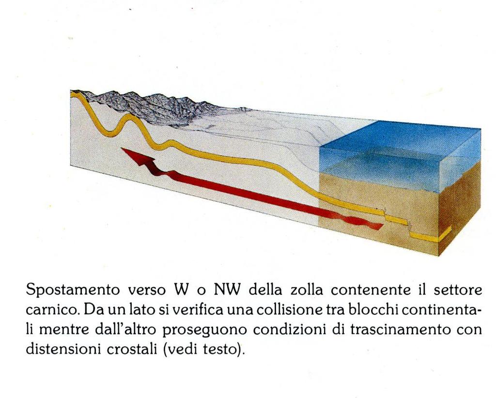 Carbonifero inferiore In contemporanea al rifting del Paleozoico carnico avviene la collisione della placca africana con quella dell