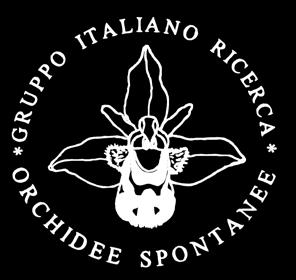 ORCHIDEE Spontanee d Europa Rivista semestrale del GIROS anno XXIV Gruppo Italiano per la Ricerca sulle Orchidee Spontanee The