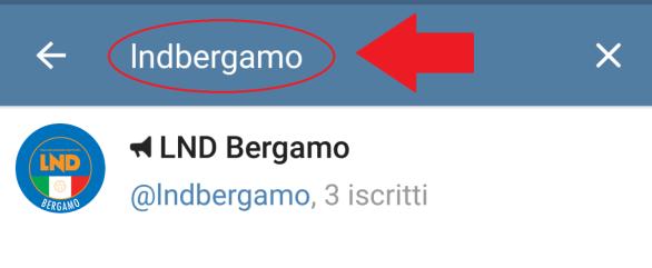Bisogna scrivere nella barra: LND BERGAMO Alchè selezionare dall elenco che si formerà, LND BERGAMO quello con il logo della Delegazione di Bergamo con al fianco il