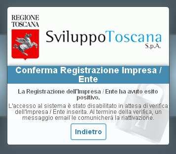 L utente capofila Attivazione Dopo aver inviato il modulo di registrazione, se tutto è andato a buon fine, appare un messaggio di conferma (vedi sopra) e viene inviata un email all utente che