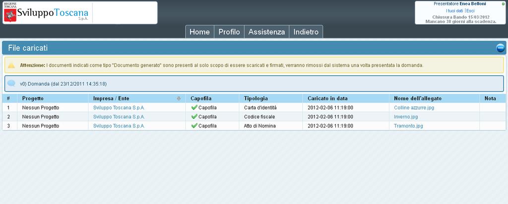 L utente capofila Allegati domanda Il capofila può visualizzare l elenco degli allegati relativi al domanda caricati sul sistema