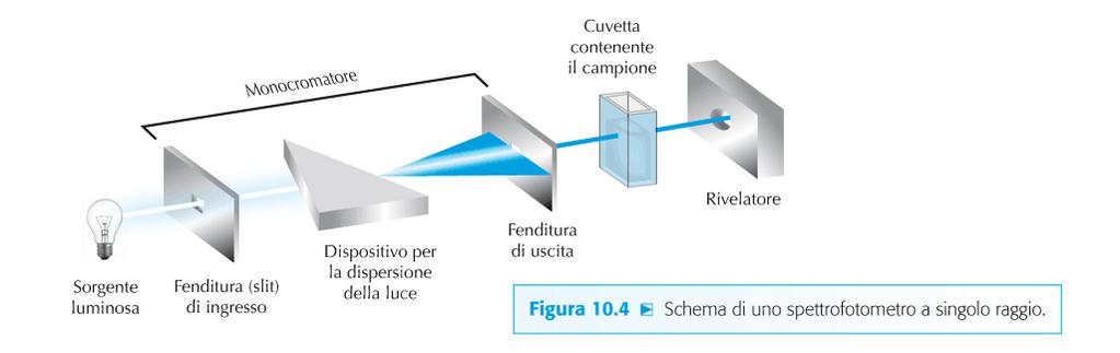 SPETTROFOTOMETRO Misura l assorbimento che le molecole