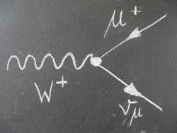 la carica della W Il neutrino non rilascia segnale