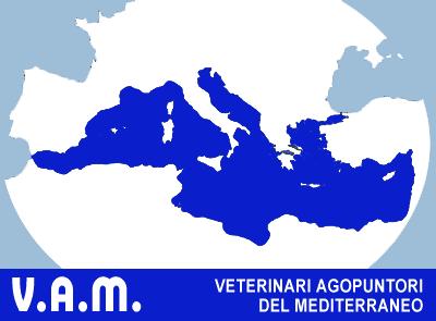 IX SEMINARIO INTERNAZIONALE di AGOPUNTURA VETERINARIA L ARTE MEDICA DELL