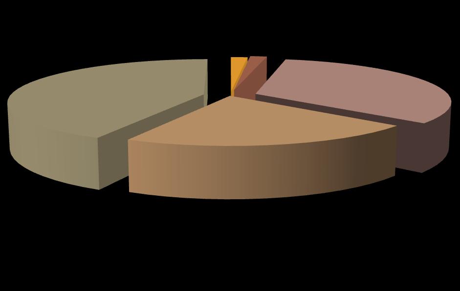 41-50 ANNI 38% ANZIANITA'