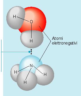 viene attratto da un altro atomo molto elettronegativo + + 2 2 MLELE INI LEMI IMII l atomo più elettronegativo strappa l elettrone