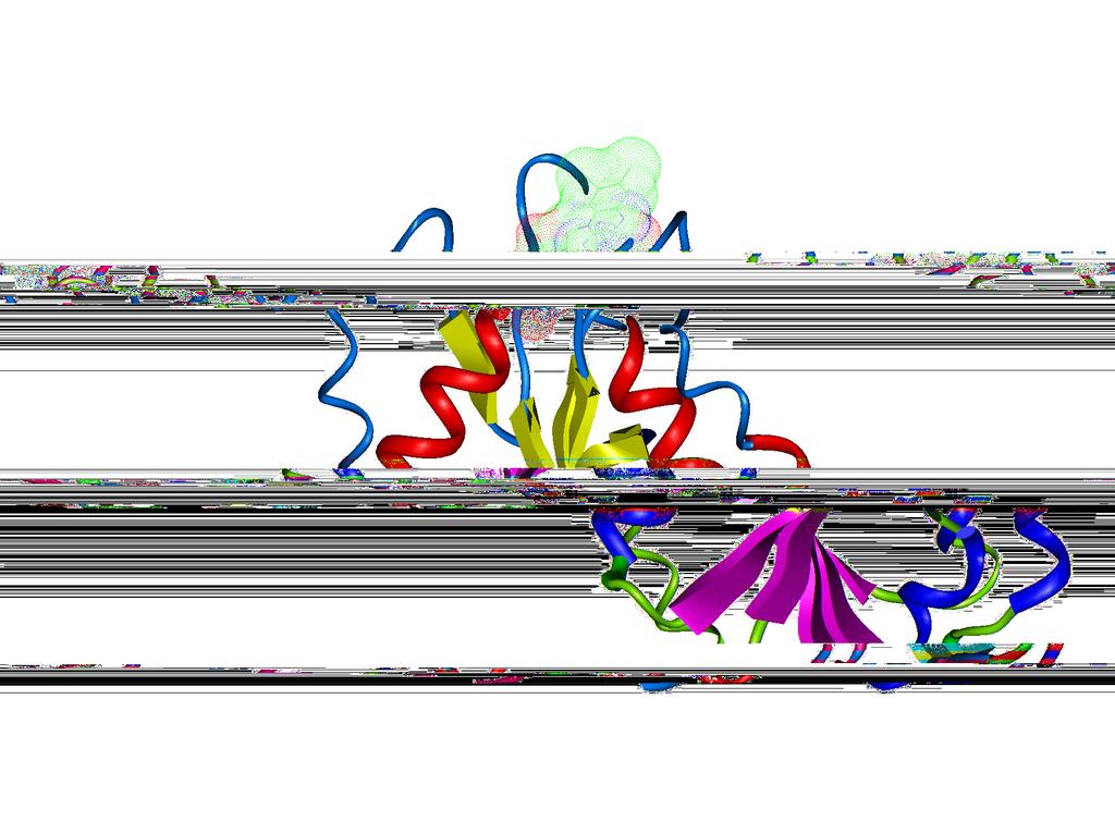 TERZIRI Struttura secondaria strutture date dall avvolgimento e/o ripiegatura di segmenti stabilizzate da legami a tra il gruppo -N- e -- di legami peptidici disposti