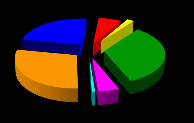 MODENA alla CNA nella provincia di Modena sono 3.161; di cui il 51,66% risulta essere artigiano e il 29,17% una giovane imprenditrice.