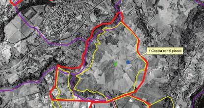 Stima del successo riproduttivo ZRV BOLOGNANO ZRV VILLADEGNA ANNO 2011 ZRV Villadegna ZRV Bolognano ZRV Tocco Casauria