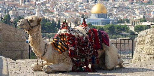 Trasferimento in pulmino privato a Gerusalemme e city tour con guida locale parlante italiano.