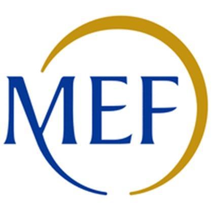 Sostenibili MEF Ambito tematico specifico: Green Public Procurement