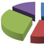 medio tempo 10 Rapidi 5 51% 14% 12% 10; 6; 14% 5;