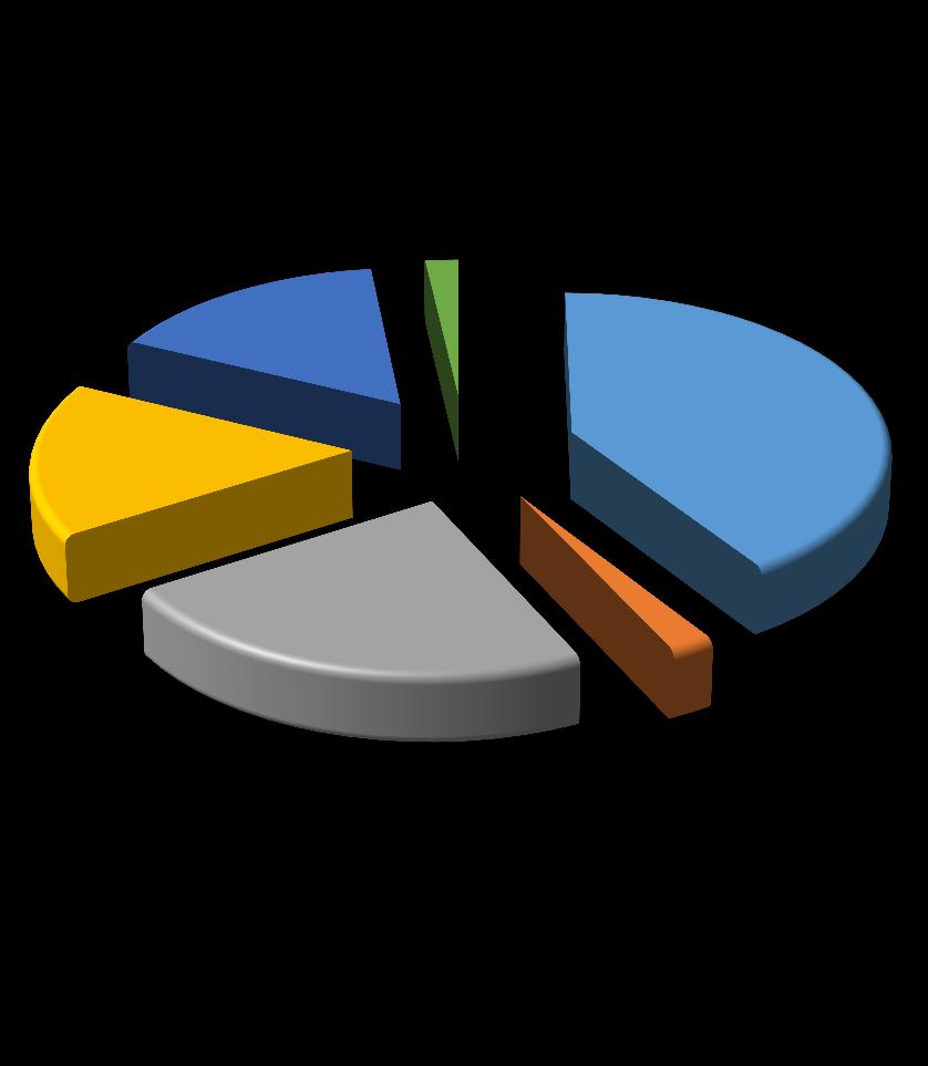 La situazione in Italia: Malattie Professionali riconosciute nel quinquennio 2013-2017 Classe di ICD-10 Siderurgia M. sist. Osteom. E tess.