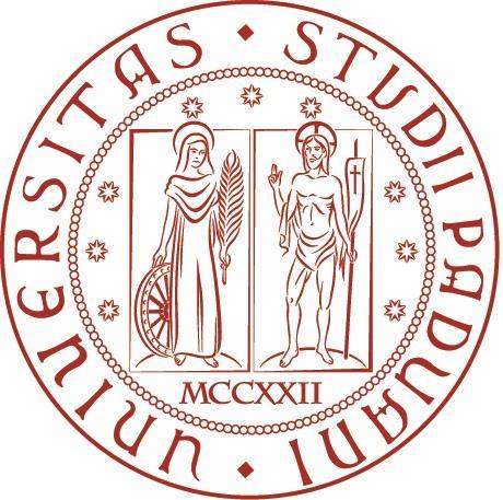 Università degli Studi di Padova Dipartimento di Fisica e Astronomia Galileo Galilei Corso di Laurea in Ottica e Optometria TESI DI LAUREA La capacità accomodativa: