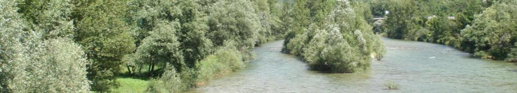 Il Brenta è uno dei principali fiumi veneti Origina in provincia di Trento dal lago di Caldonazzo a 450 m s.l.m. Lungo 174 km : la parte montana di 70 km e di pianura di 104 km.