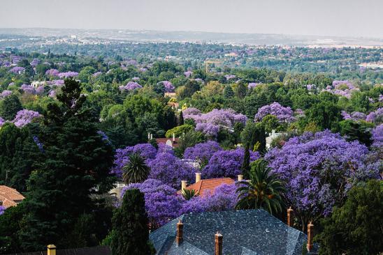 Johannesburg E da sempre la capitale commerciale del Sud Africa.