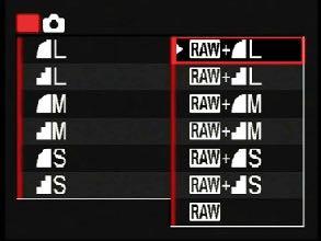 RAW VS.