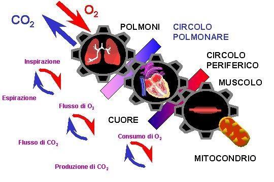 Diagramma