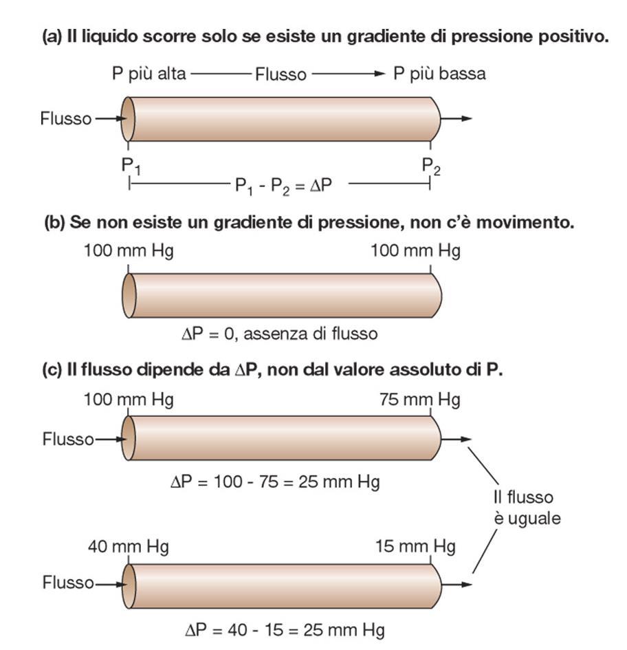 Il sangue scorre da una regione ad alta pressione verso una a bassa pressione Il flusso di un liquido (volume che passa in un condotto nell unità di tempo) è direttamente proporzionale al gradiente