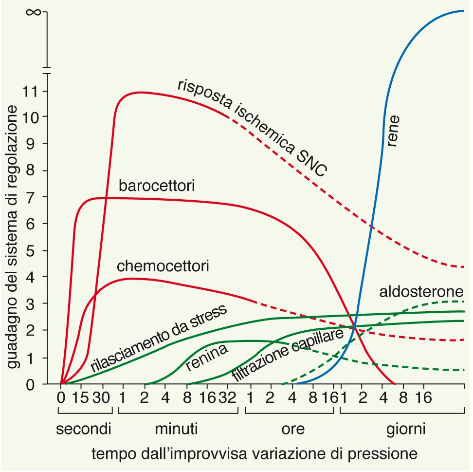 Efficacia e rapidità di azione dei diversi sistemi di controllo della pressione