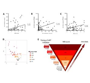 Il repertorio anticorpale contro il virus dell immunodeficienza umana (HIV) predice la misura del reservoir virale (DNA-HIV) e l inizio della terapia antiretrovirale (ART): analisi di correlazione