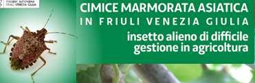 Servizio fitosanitario e chimico, ricerca, sperimentazione e assistenza tecnica Villa Manin di Passariano, Codroipo, 29