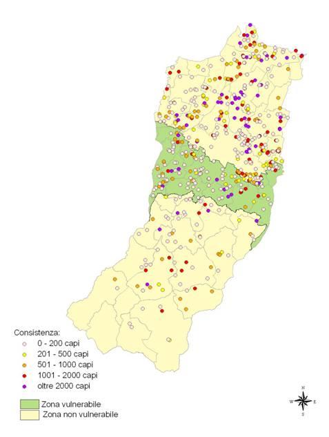 Allevamenti di bovini Consistenza del settore zootecnico provinciale Anno Bovini Suini Capi (n