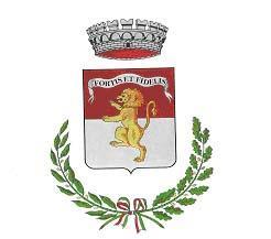COMUNE DI CASTIGLIONE DI GARFAGNANA Provincia di Lucca Bando per l assegnazione di contributi ad integrazione dei canoni di locazione anno 2019 L AMMINISTRAZIONE COMUNALE AI SENSI DELLA L. 9.12.