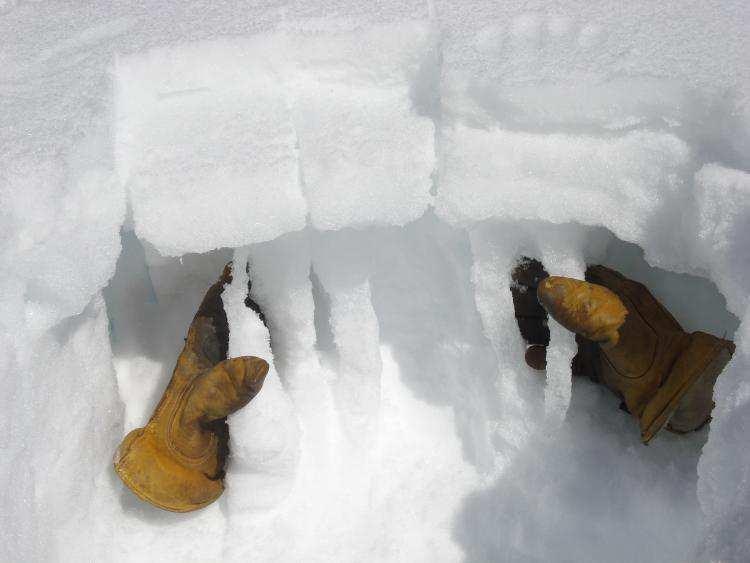 limite nevicata) PERSISTENZA Livelli molto persistenti, per giorni o mesi, anche quando sepolti da successive nevicate ASPETTI