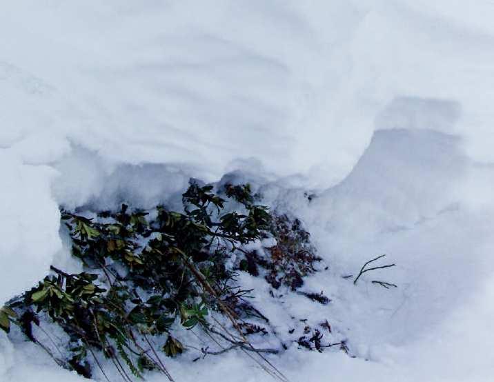 Dopo la prima nevicata dell inverno sono in particolare gli scaricamenti di neve, cioè le valanghe a debole coesione che si staccano lungo dei pendii ripidi e lisci, quelle che possono creare