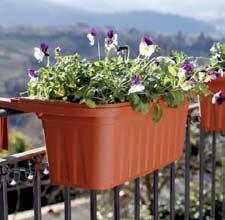 Per tutte le piante verdi, fiorite, da balcone, da giardino, aromatiche e