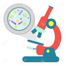 L immunofluorescenza è un metodo altamente specifico per la rilevazione di determinati antigeni presenti nel tessuto o nelle cellule da
