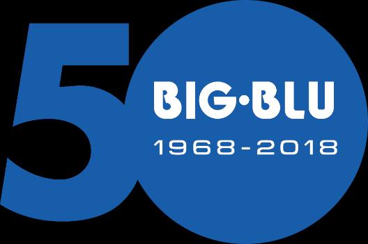 BIG BLU GROUP RETE DI IMPRESE S.c.a r.l.