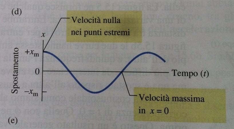 Velocità nel moto armonico semplice la velocità varia in modulo e direzione durante il moto : v = 0 nei punti estremi v massima nel punto centrale v(t) = dx/dt = d/dt [xmcos(ωt +