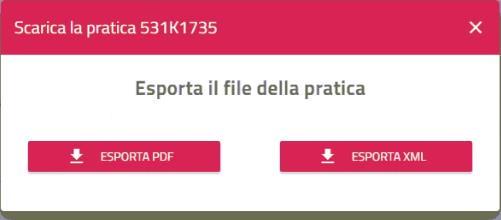 Pagina 12 Nella scheda LISTA PROTESTI è possibile visualizzare l elenco dei protesti Cliccando sulla relativa freccia è possibile visualizzare i dettagli del singolo