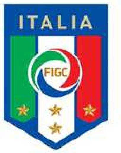 Federazione Italiana Giuoco Calcio Lega Nazionale Dilettanti DELEGAZIONE PROVINCIALE DI Strettola Sant Anna alle Paludi, 115 80142 Napoli Tel: 081.2449031 Fax: 081.2449023 Sito internet: www.