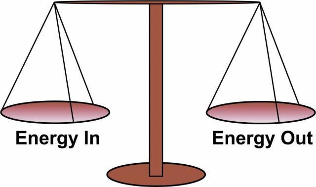 OMEOSTASI ENERGETICA Omeostasi energetica: i processi biologici con cui l organismo mantiene costante il peso corporeo, bilanciando l assunzione e la spesa energetica Gli animali tendono a modulare l