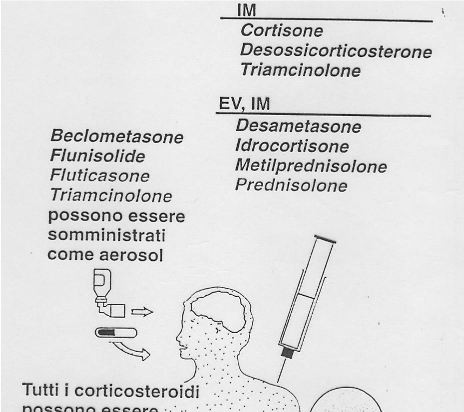 Le vie di somministrazione possono essere diverse Orale, ev, im per effeti sistemici terapia locale