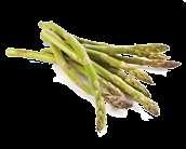 principali. Dosi consigliate: Acqua, Asparago (Asparagus officinalis L.) radice, Equiseto (Equisetum arvense L.