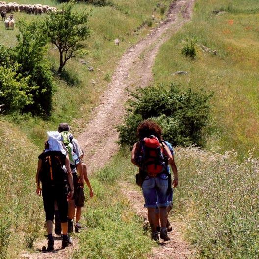 SETTEMBRE Domenica 4 Trekking lungo la Via Francigena in Toscana camminare per conoscere e rivivere un antico cammino Pietrasanta (LU).