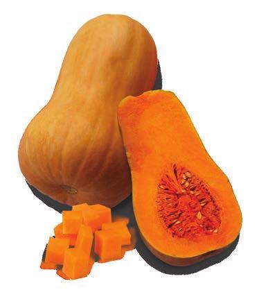 Zucche per IV gamma - Industria SQUASH FOR READY TO EAT MARKET - PROCESSING Frisco F1 Sweetmax F1 Hercules F1 arancio orange 1,8-2,