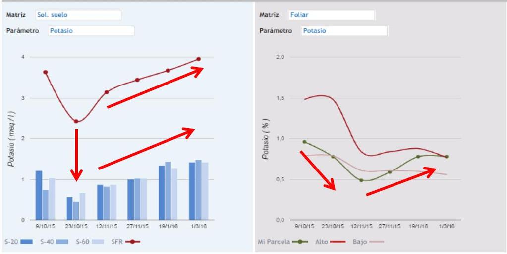 POTASSIO Viene assorbito come K+ É l elemento più importante per la parte qualitativa e quantitativa della pianta: 1.