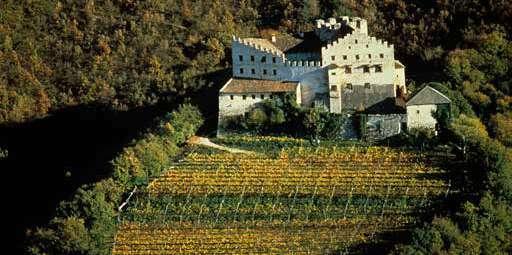 Castello di Monreale - Faedo (Trento) la vendemmia in termini di quantità di uva raccolta.