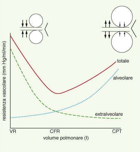 Effetto del volume polmonare sulle