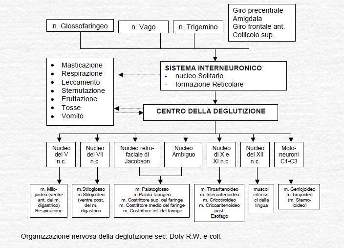 Il controllo