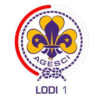 ANALISI DELLA REALTA Al 15 gennaio 2017, il gruppo AGESCI LODI 1 è composto da 154 scouts, 19 in meno rispetto alla data di apertura dell anno, quando ne risultavano 173.