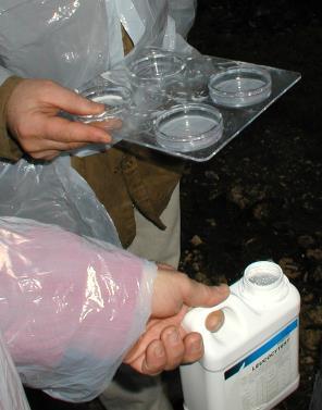 9 Produzione primaria (produzione di latte) 7 passaggi chiave / 8 passaggi 4- Mungitura Recommandazioni / infezioni mammarie: Mantenere le tettarelle in buone condizioni: test e manutenzione della