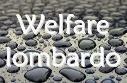 Ma.. La riforma del welfare lombardo in pillole Valorizzazione Terzo Settore -