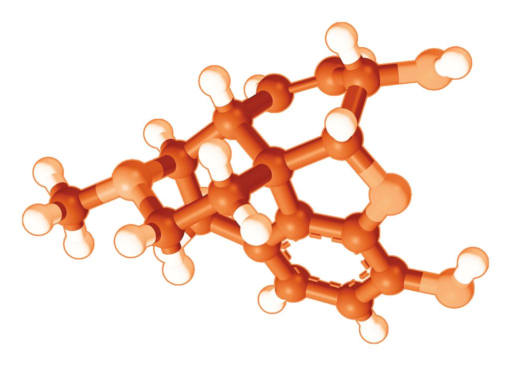 SYNTHESIS IL FARMACO E LA SUA CHIMICA La morfina è stata inventata per permettere ai medici di dormire tranquilli.